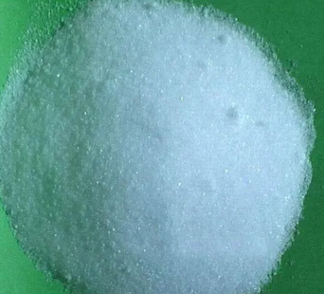 黄色网站免费看片批发